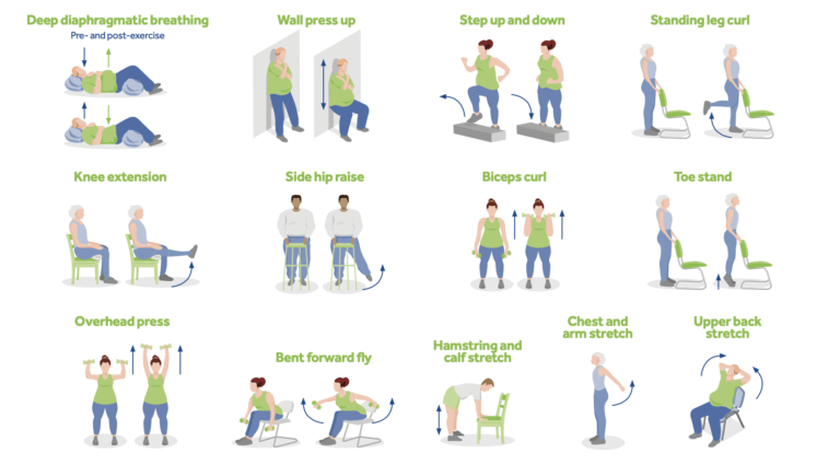 A series of illustrations showing how to do different exercises.