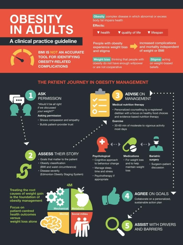 An infographic on the effects of obesity.