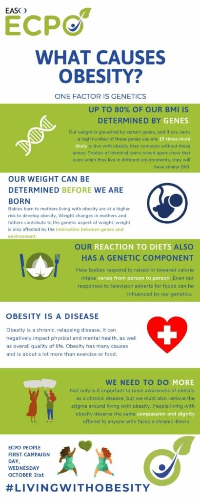 What causes obesity? infographic.